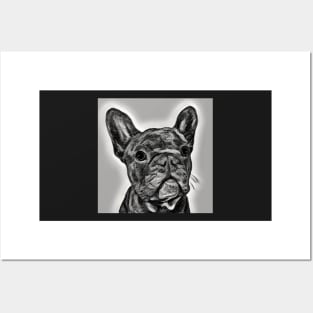 French Bulldog - cute little hand drawn Frenchie Posters and Art